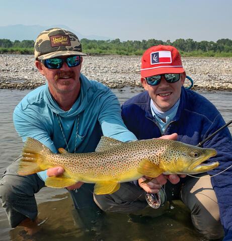 Untitled Yellowstone River Brown Trout